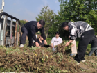【学风建设】以劳育美 种艾培根——美术学院开展艾草种植劳动教育实践活
