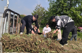 【学风建设】以劳育美 种艾培根——美术学院开展艾草种植劳动教育实践活