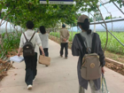 【暑期社会实践】丹青绘沃野·青春助振兴——美术学院丹青助农·绘梦田园实践队开展暑期三下乡社会实践活动&nbsp;&nbsp;&nbsp;